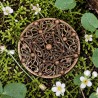 Round bronze brooch in the Nordic Viking style from the 10th century