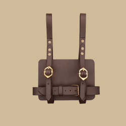 Porte-journal médiéval en...