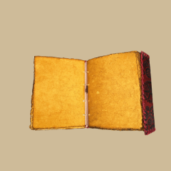 Carnet steampunk