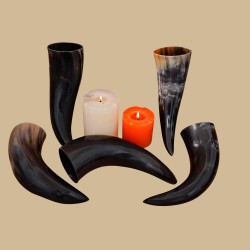 Simple drinking horn
