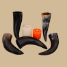 Simple drinking horn