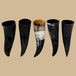 Simple drinking horn
