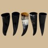 Simple drinking horn